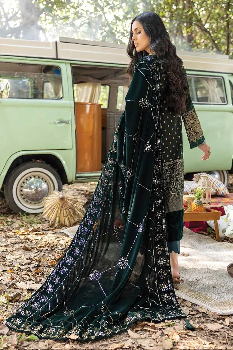 Al Zohaib Textile - Design 08 Wintry Breeze Embroidered Shawl Collection