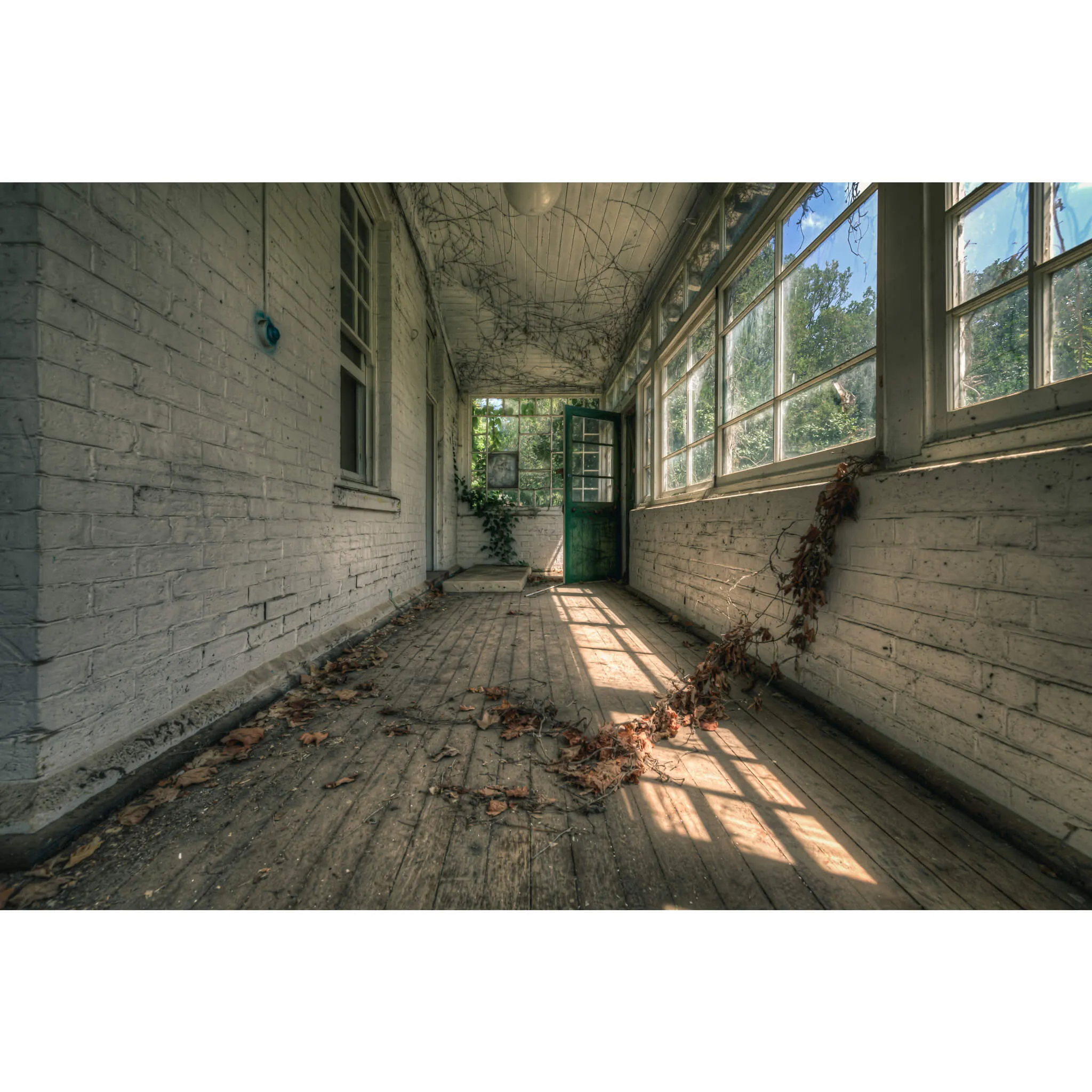 Balcony | The Asylum