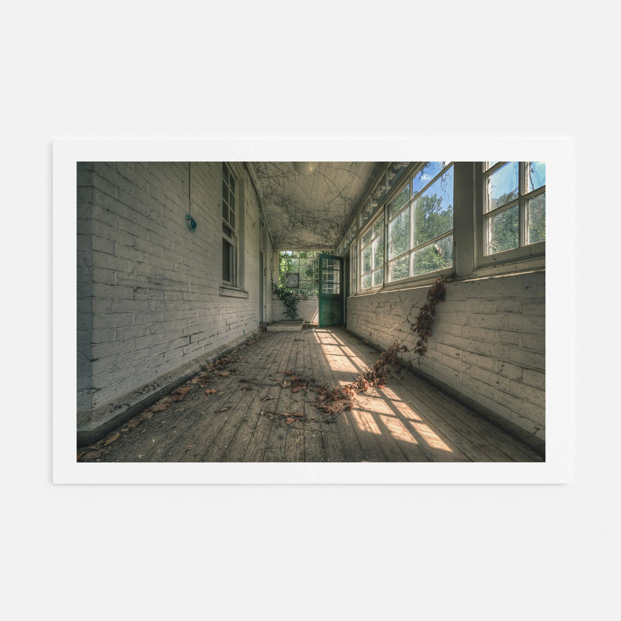 Balcony | The Asylum