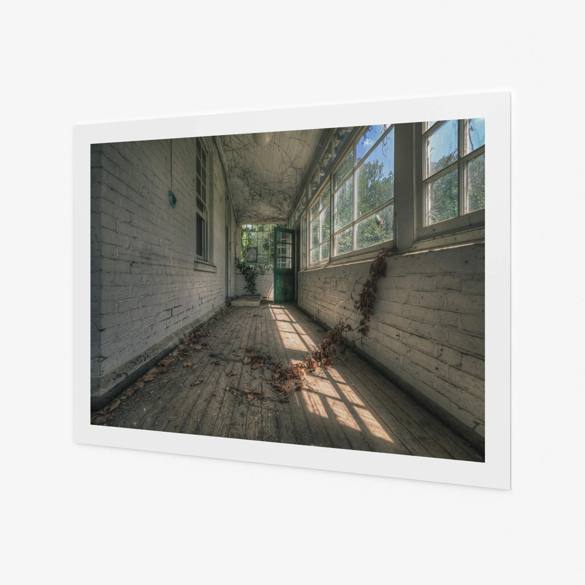 Balcony | The Asylum