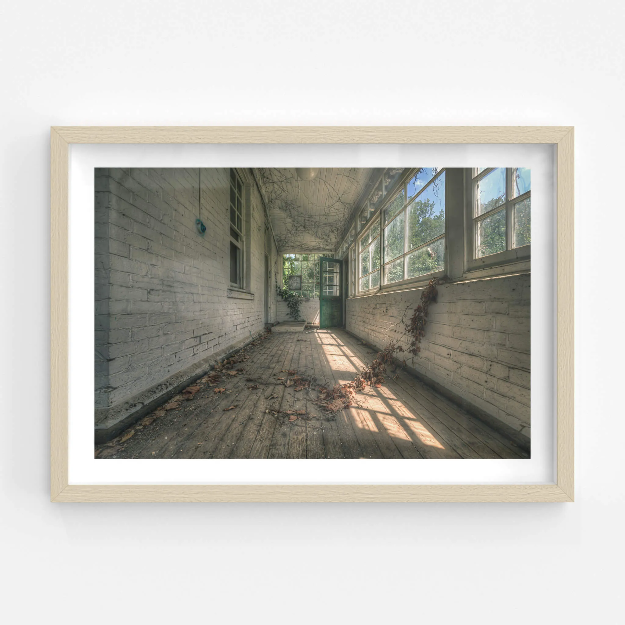 Balcony | The Asylum