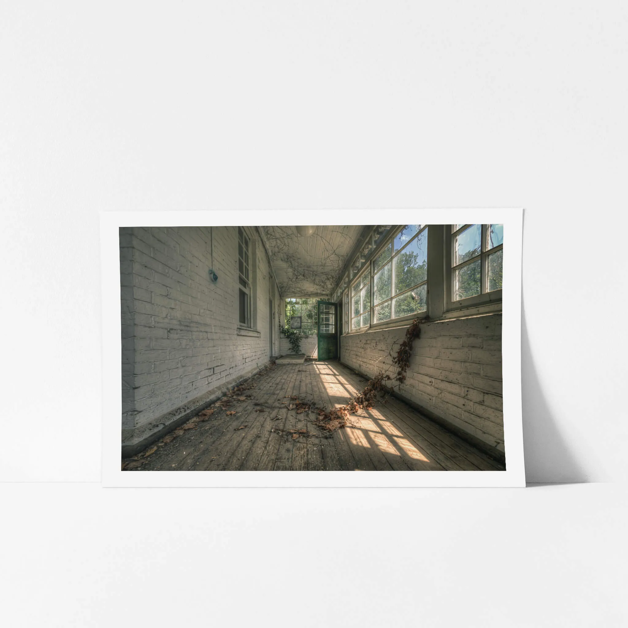 Balcony | The Asylum