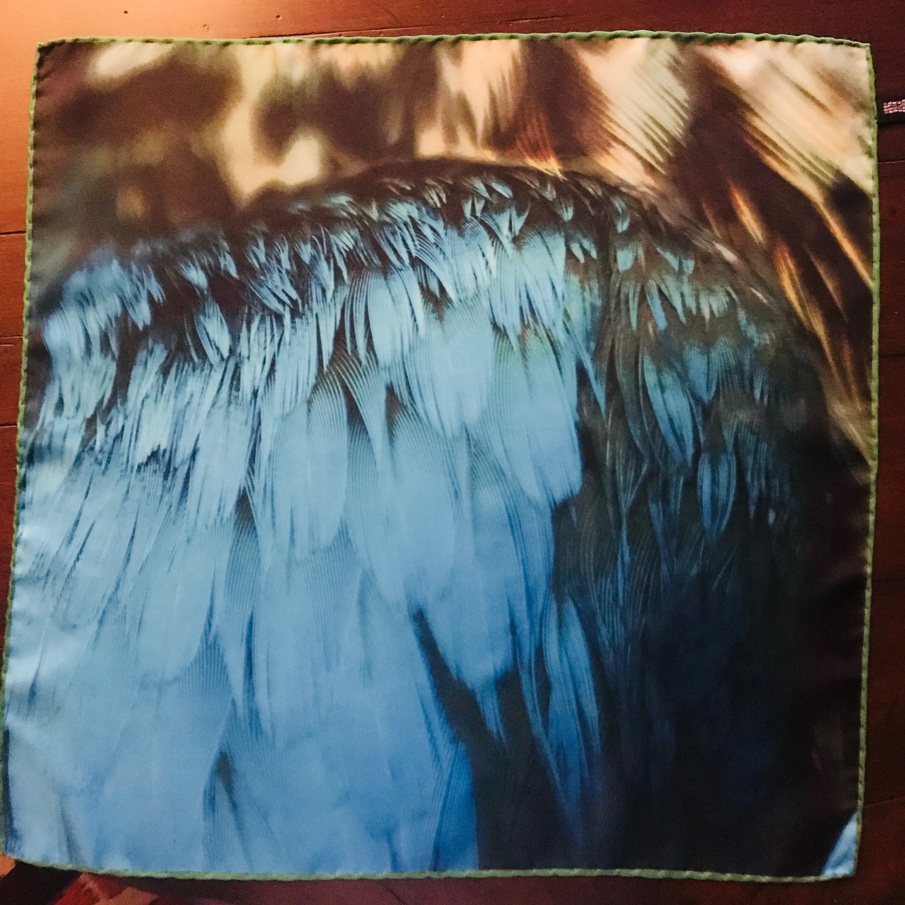 Blue Wing Teal Scarf