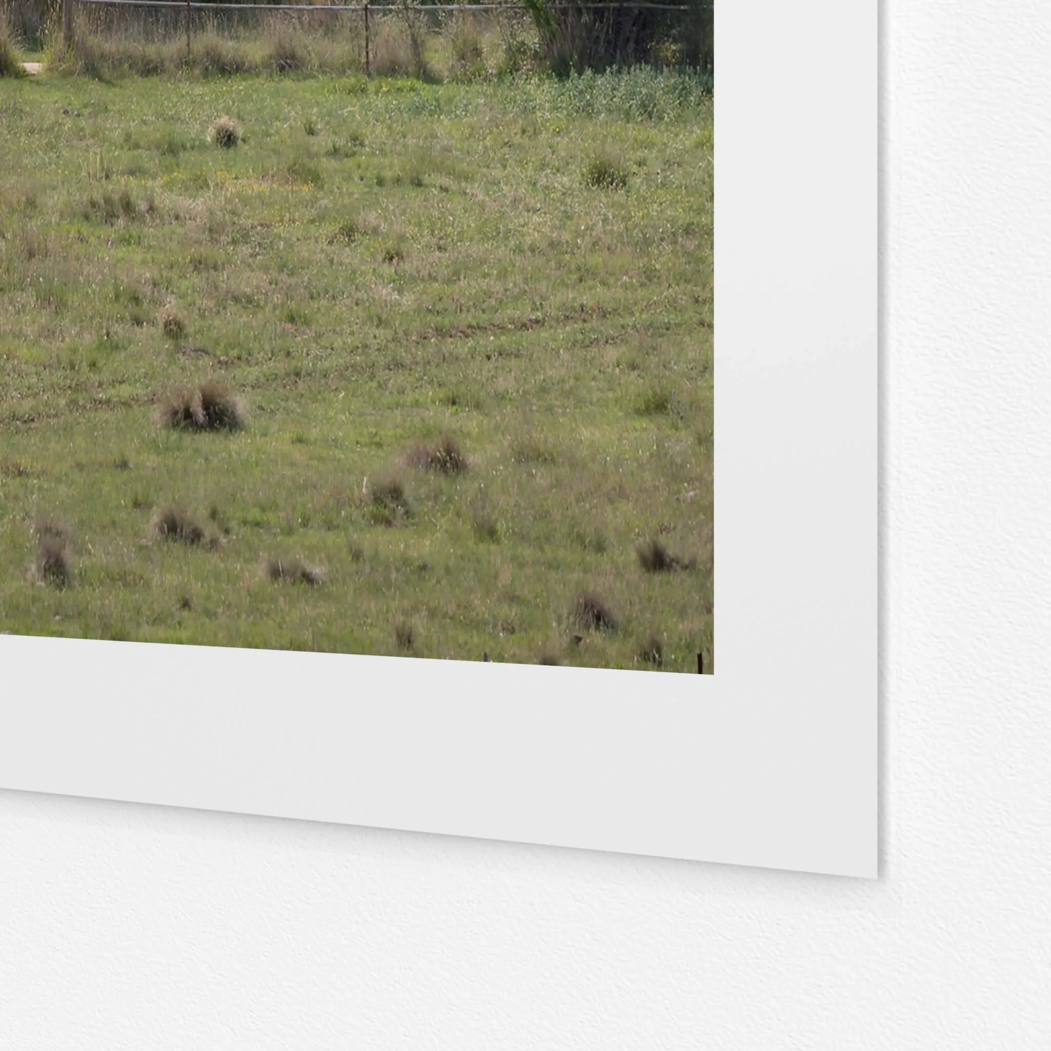 Boco Homestead | A Place to Call Home
