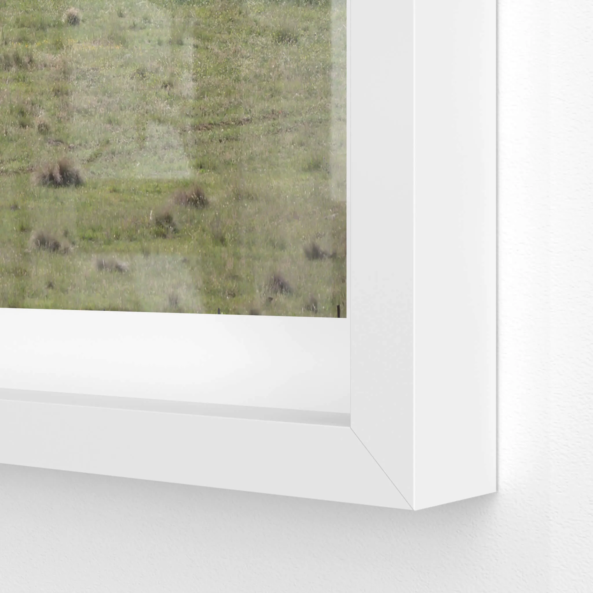 Boco Homestead | A Place to Call Home
