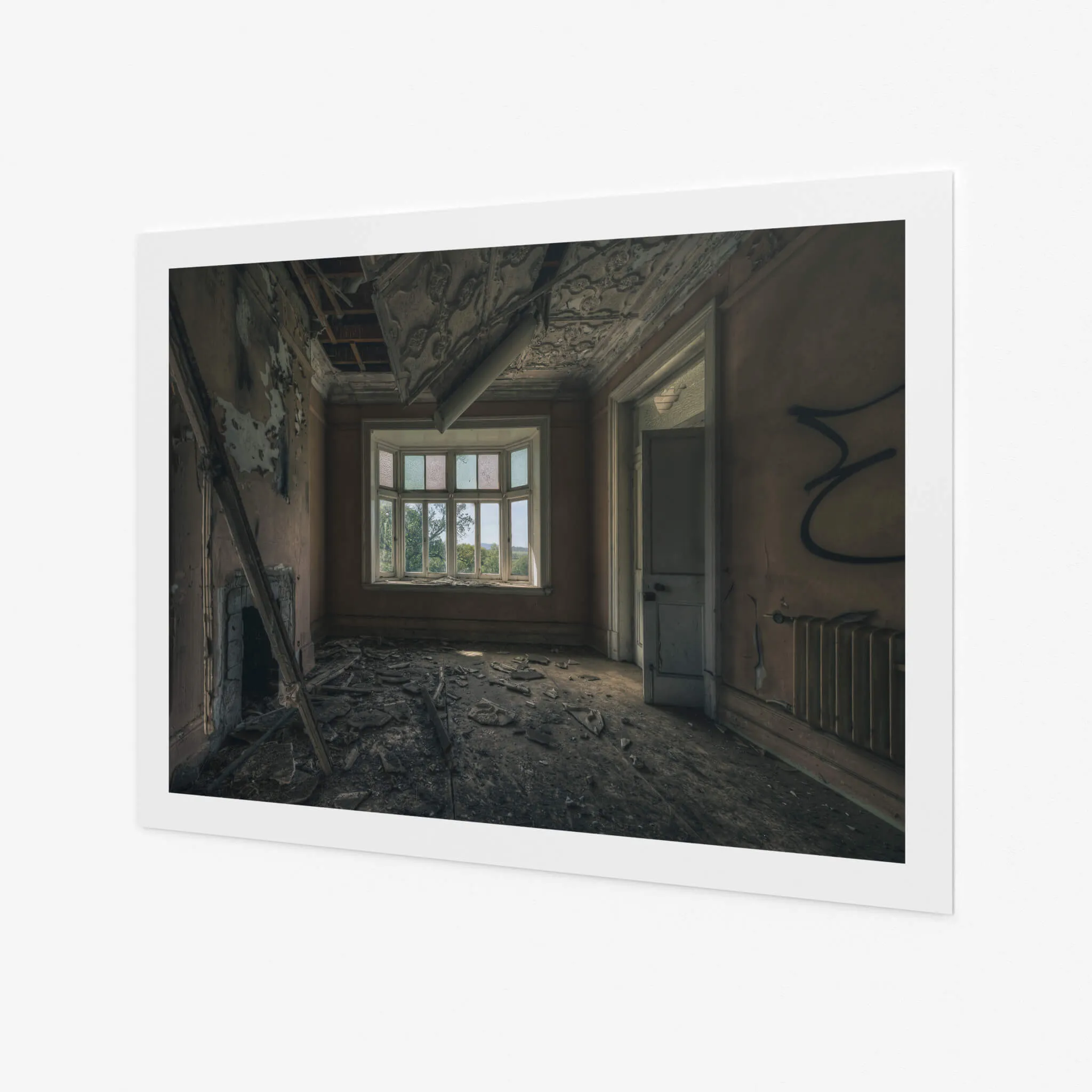 Country View | The Asylum