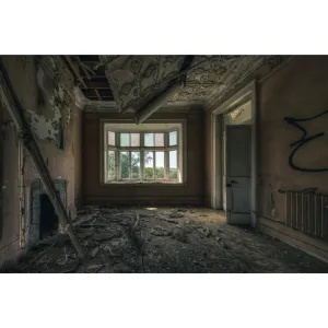 Country View | The Asylum