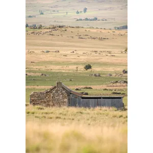 Dalgety Down The Range | A Place to Call Home