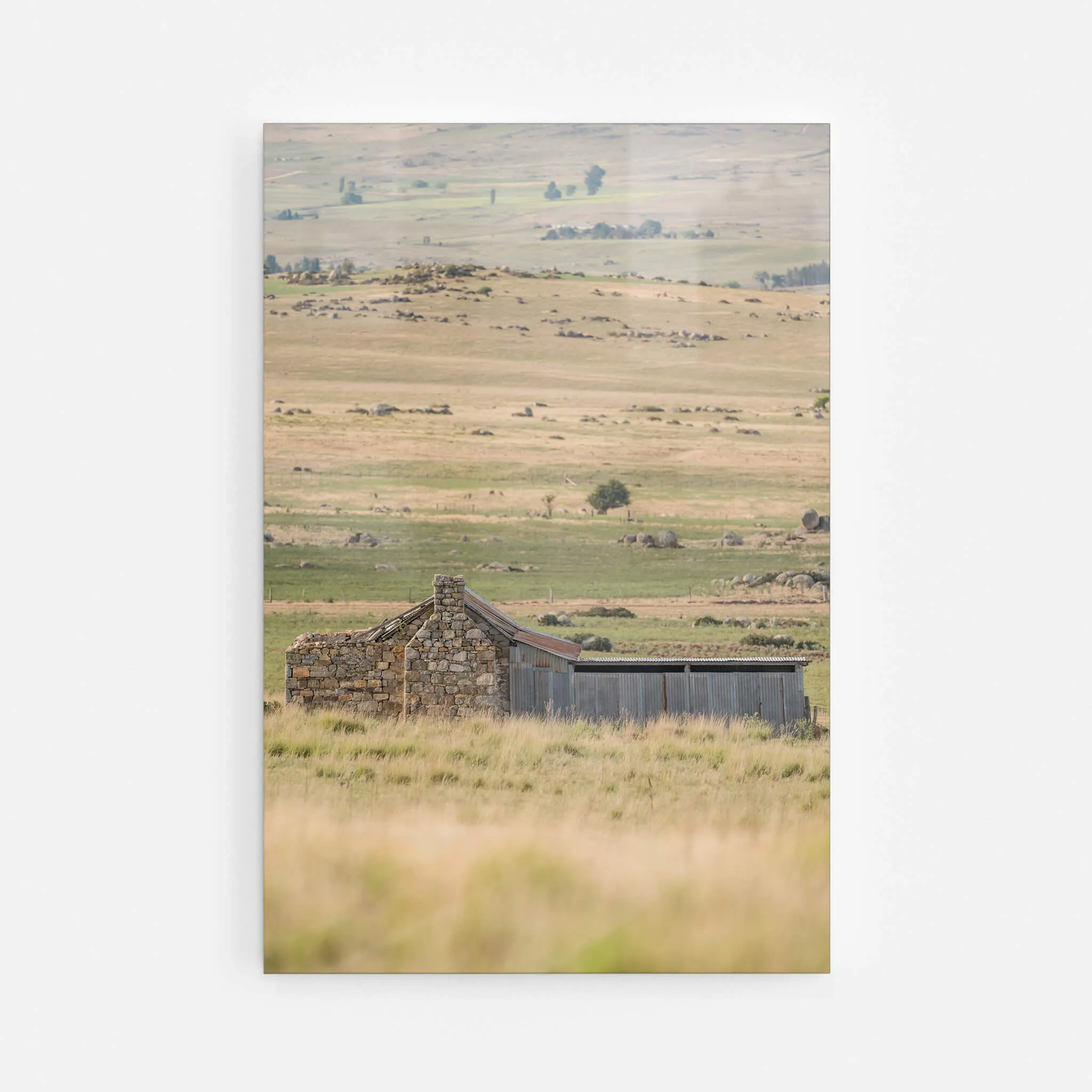 Dalgety Down The Range | A Place to Call Home