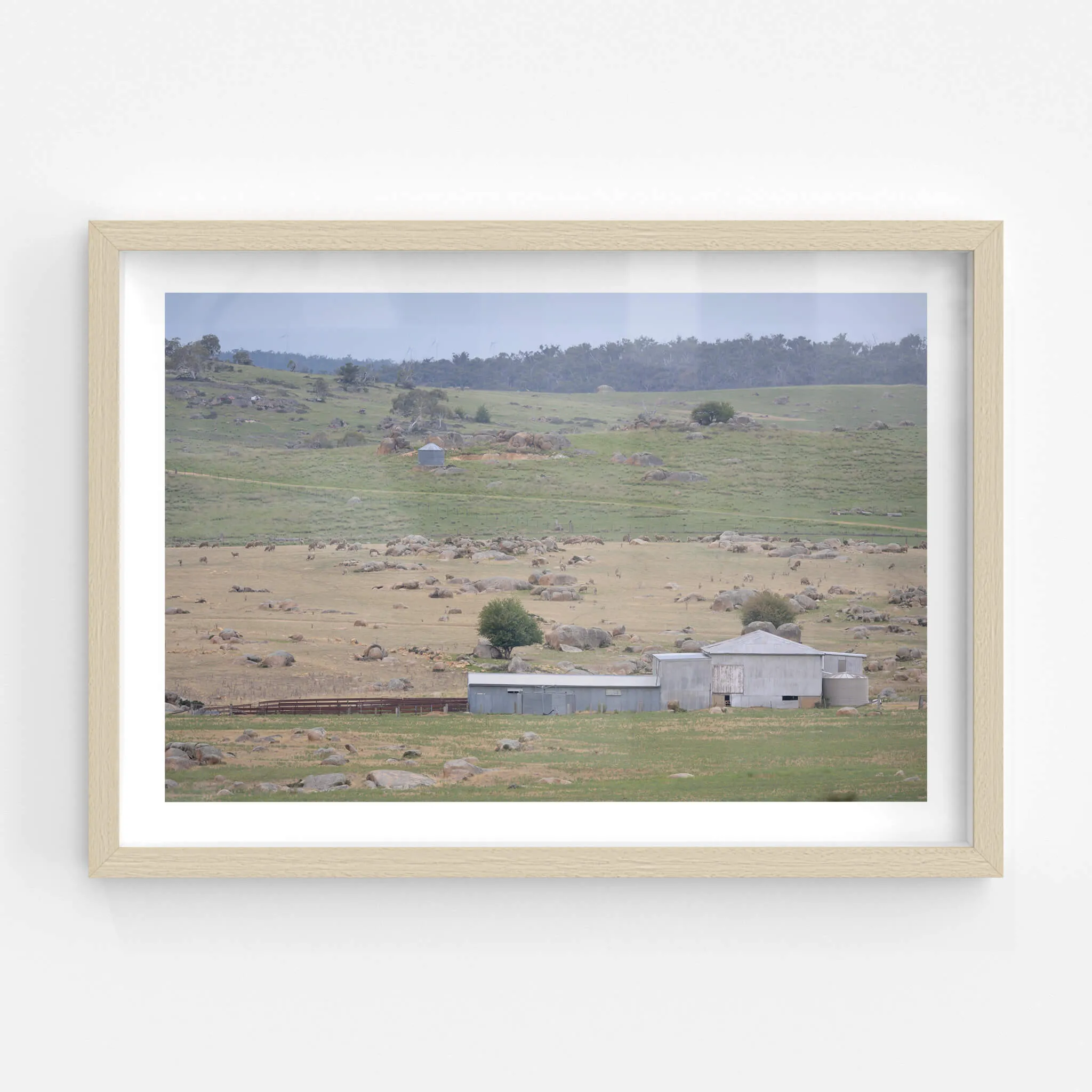 Dalgety Woolshed | The Woolshed