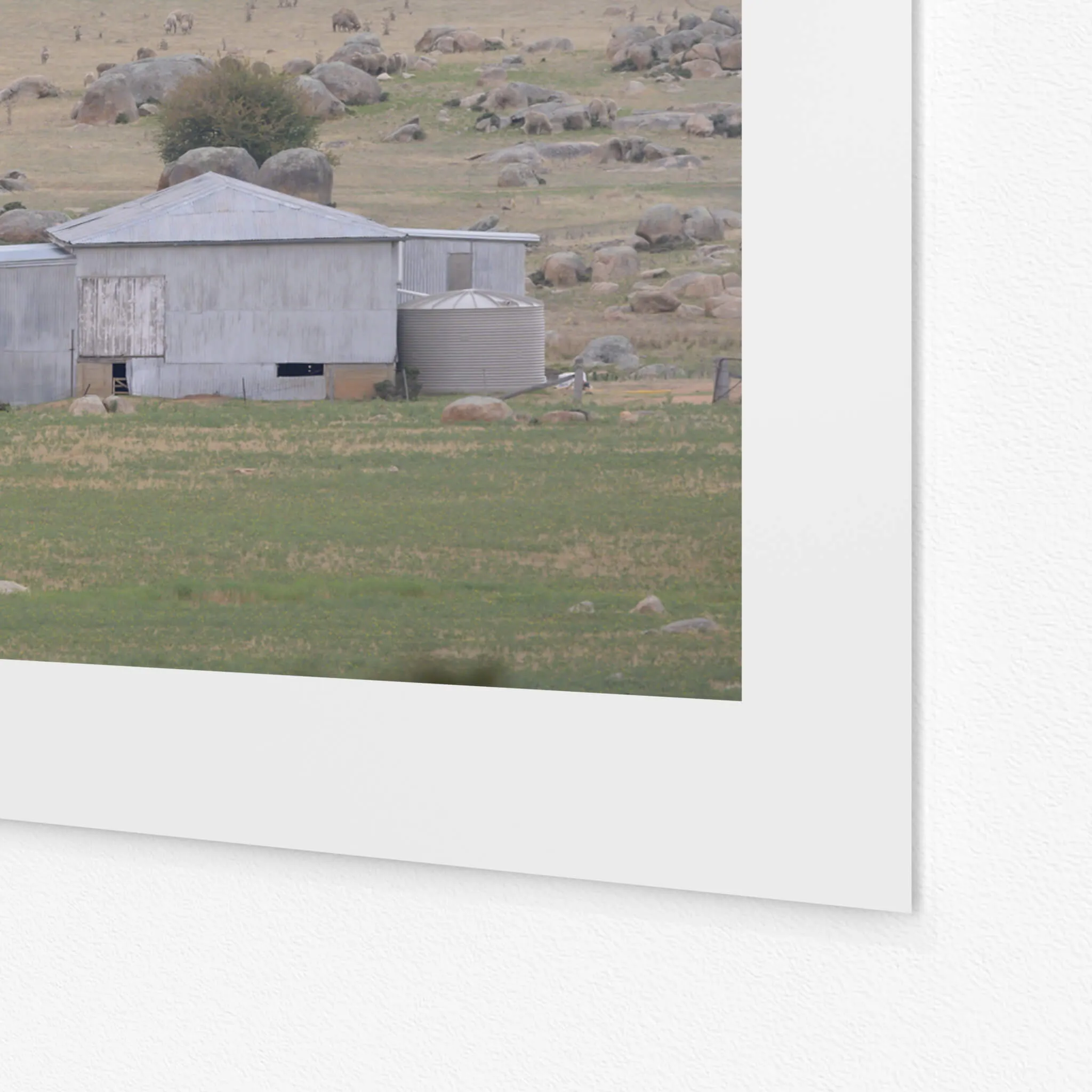 Dalgety Woolshed | The Woolshed