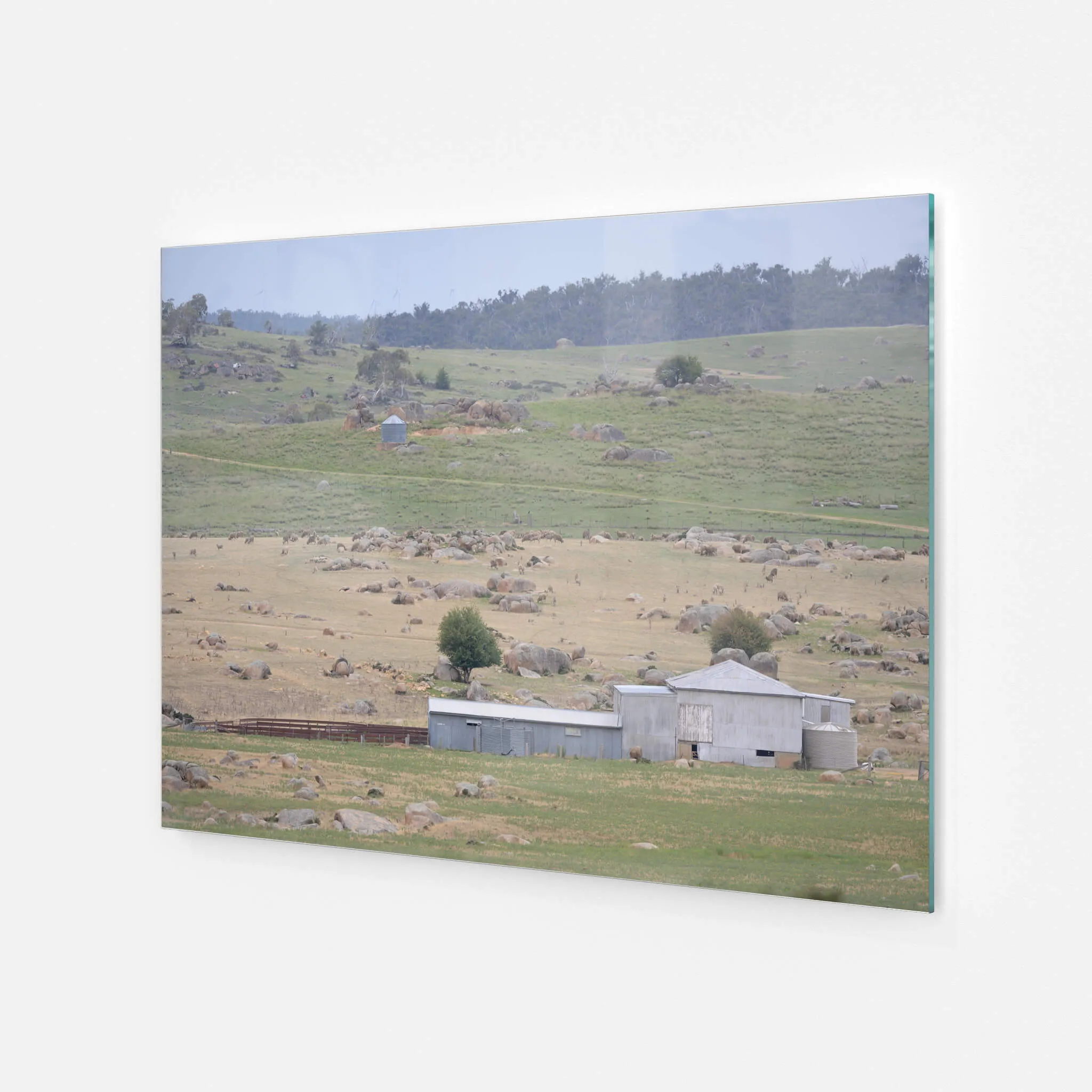 Dalgety Woolshed | The Woolshed
