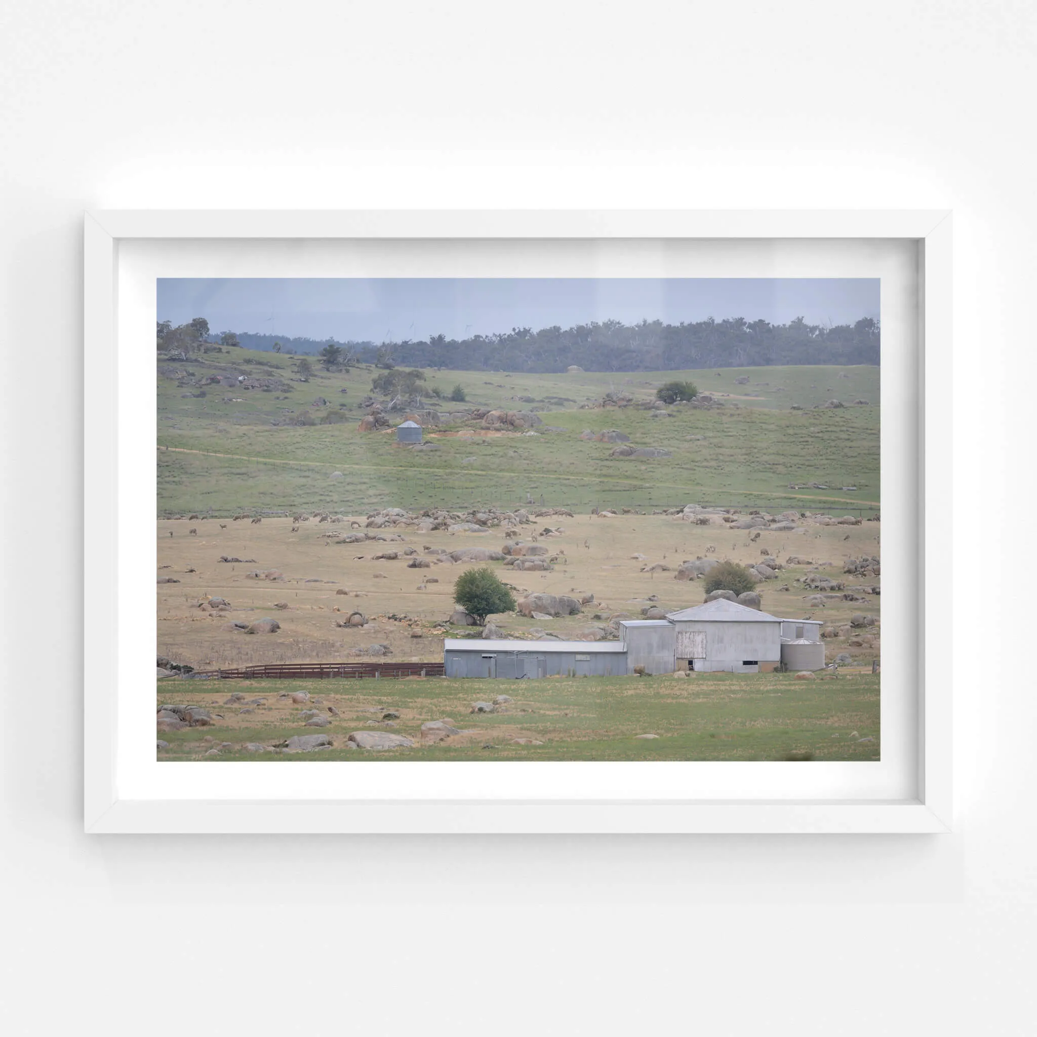 Dalgety Woolshed | The Woolshed