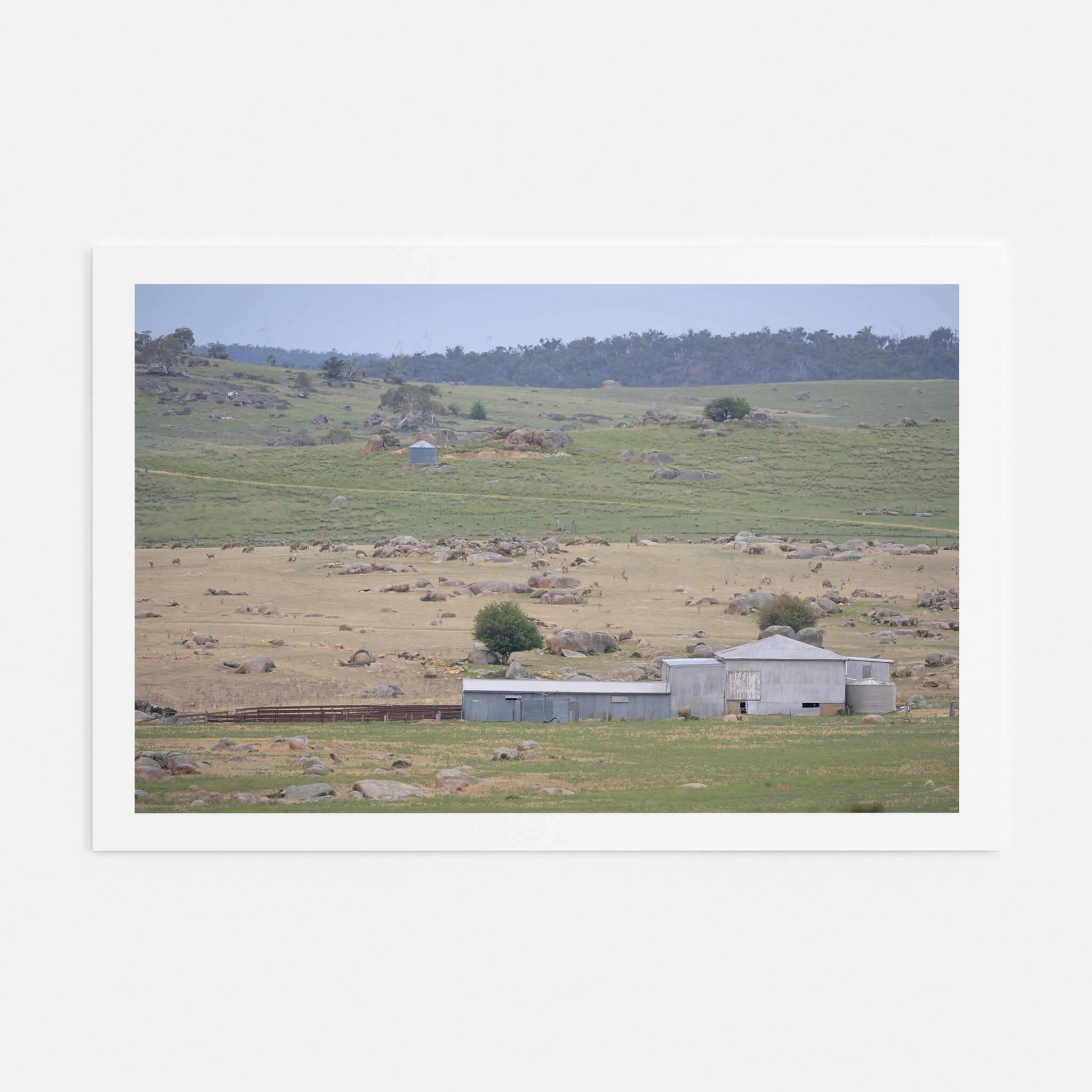 Dalgety Woolshed | The Woolshed