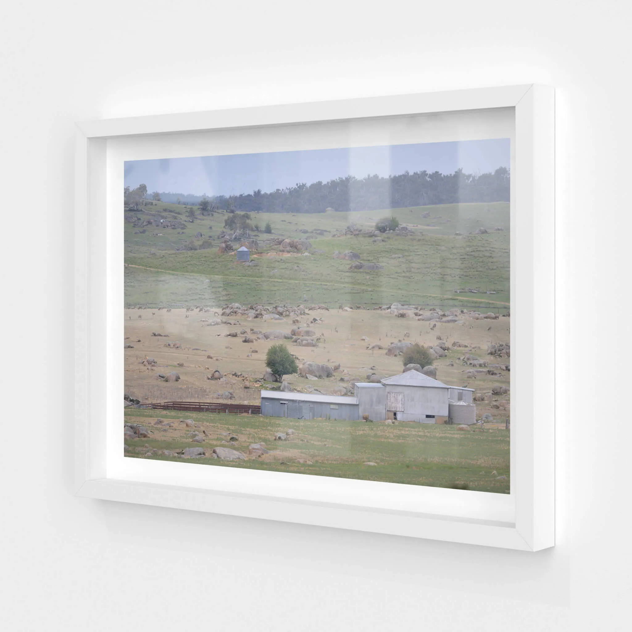 Dalgety Woolshed | The Woolshed