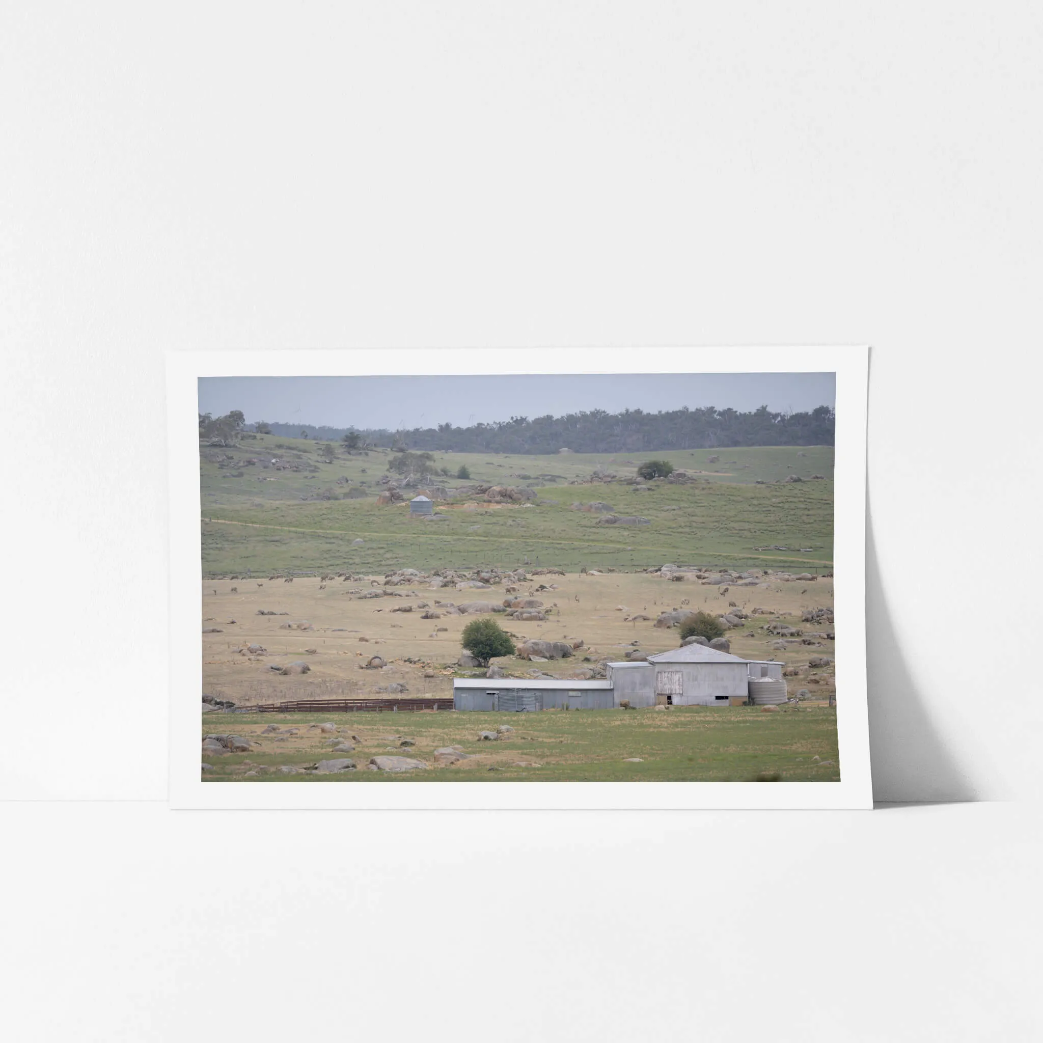 Dalgety Woolshed | The Woolshed