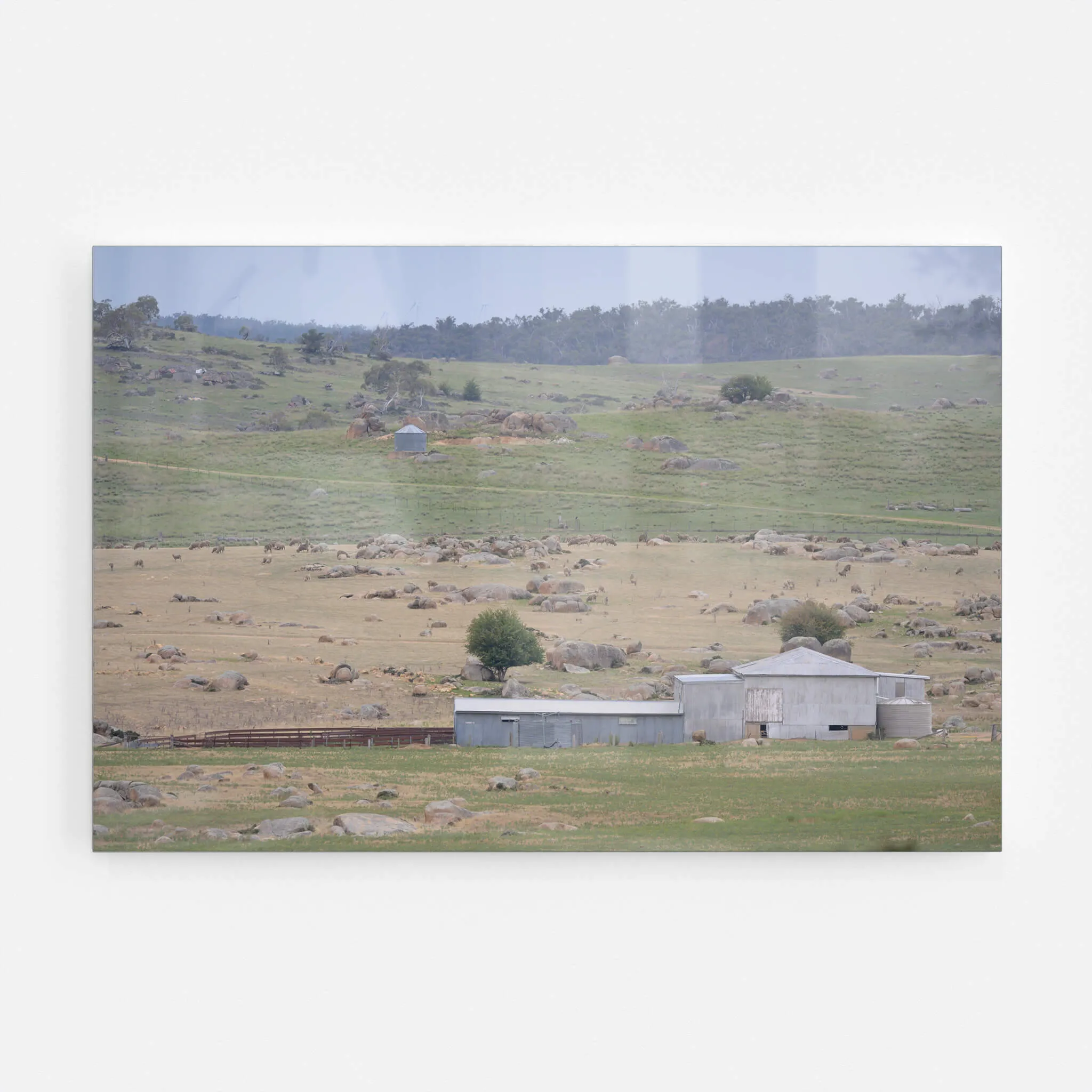 Dalgety Woolshed | The Woolshed