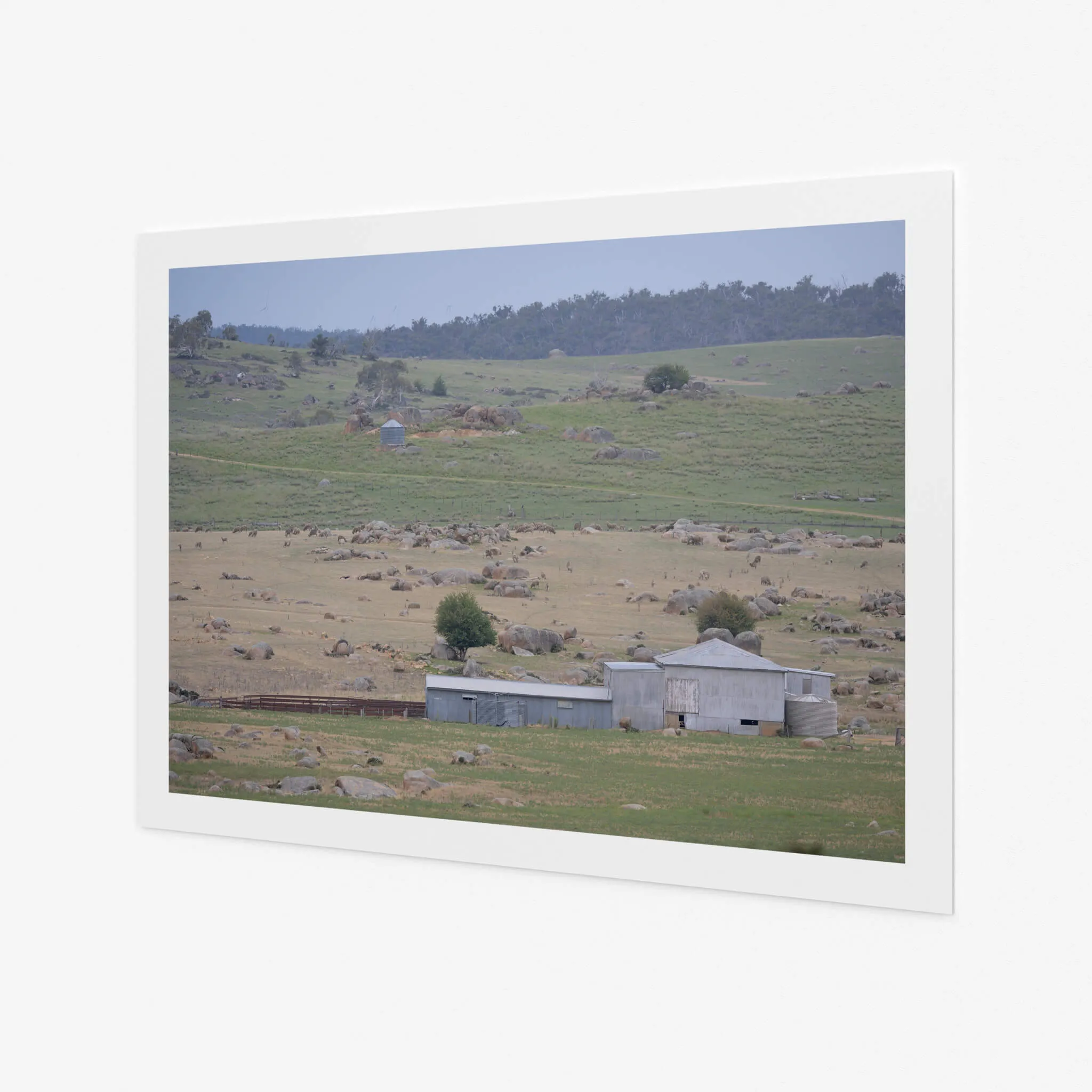 Dalgety Woolshed | The Woolshed