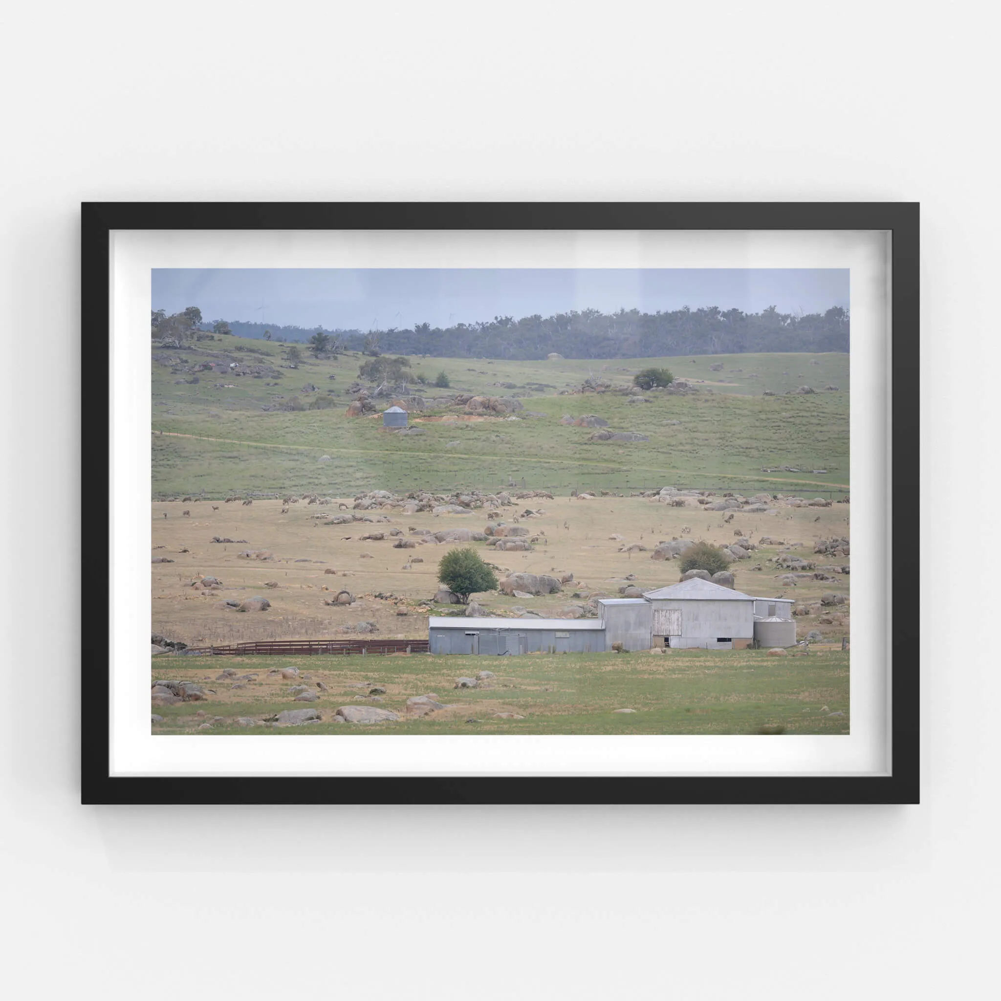Dalgety Woolshed | The Woolshed