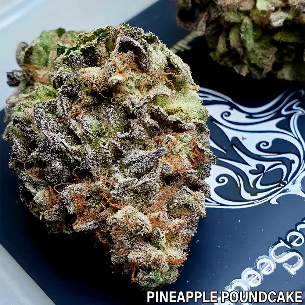 Holy Smoke Seeds - Pink Pineapple Kush / Pineapple Pound Cake