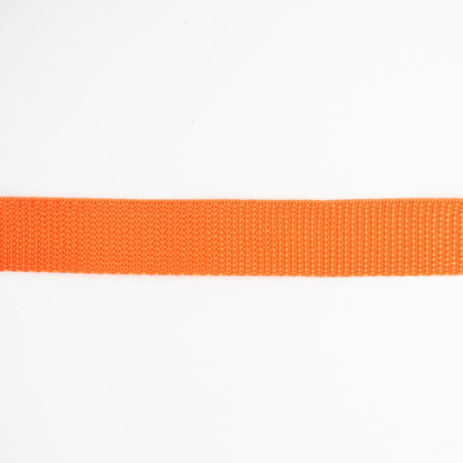 Simplicity Polyester Webbing 25mm