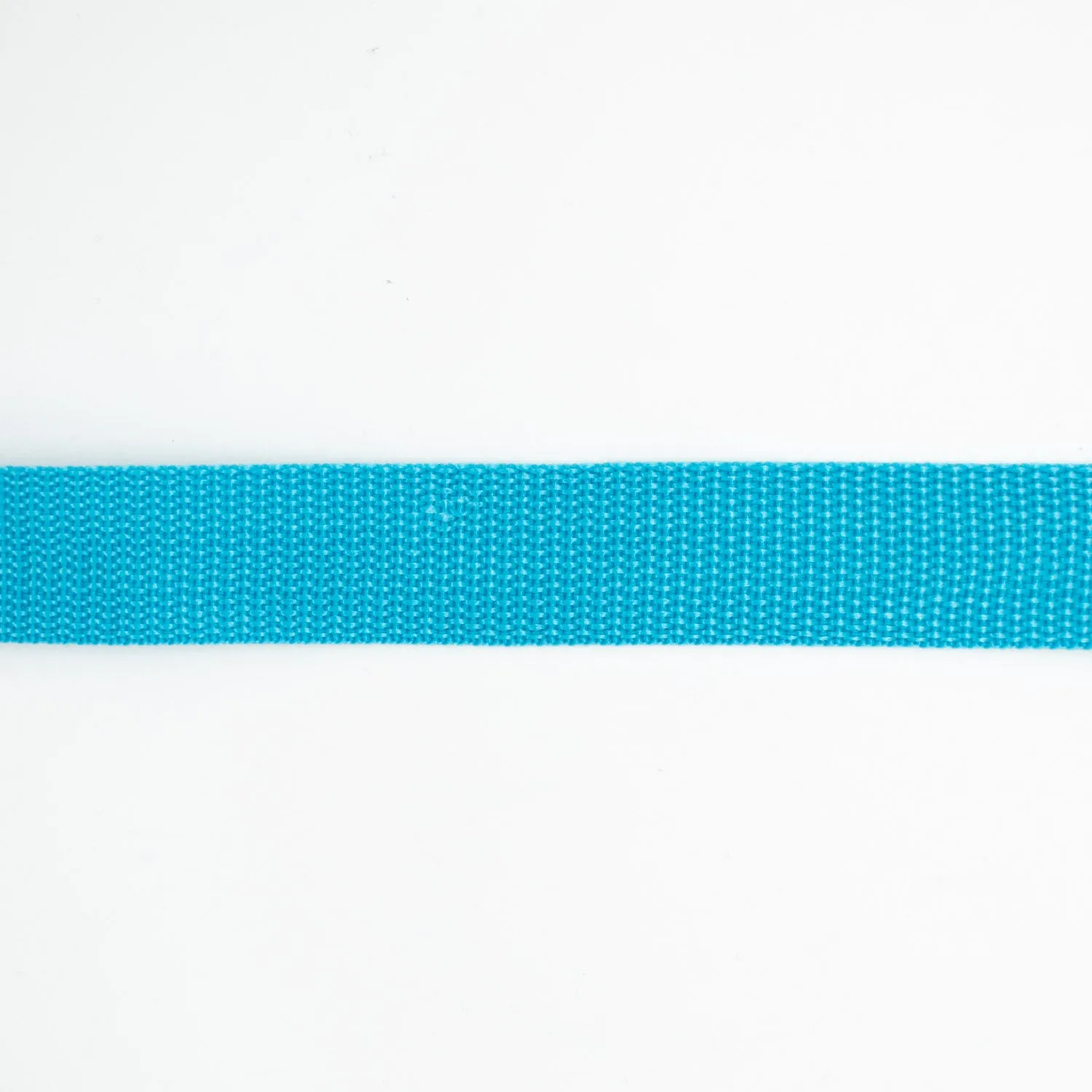 Simplicity Polyester Webbing 25mm